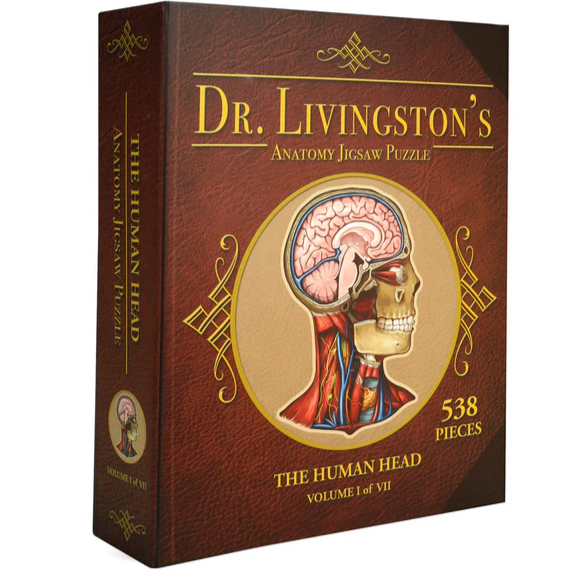 Jigsaw Puzzle: Dr. Livingston's Anatomy - The Human Head (538 Pieces)